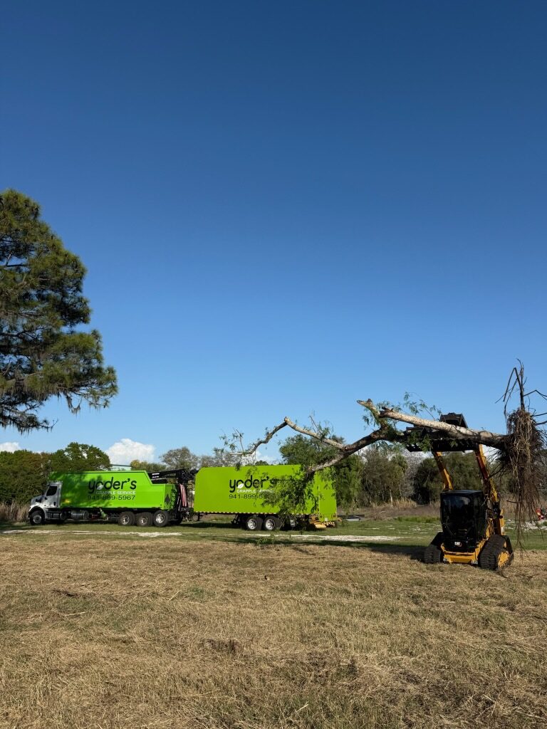 Grapple truck and 80-yard trailer alongside a skid steer carrying a whole tree on a land clearing site